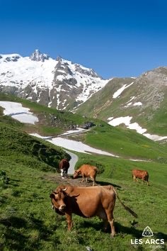 PAYSAGE