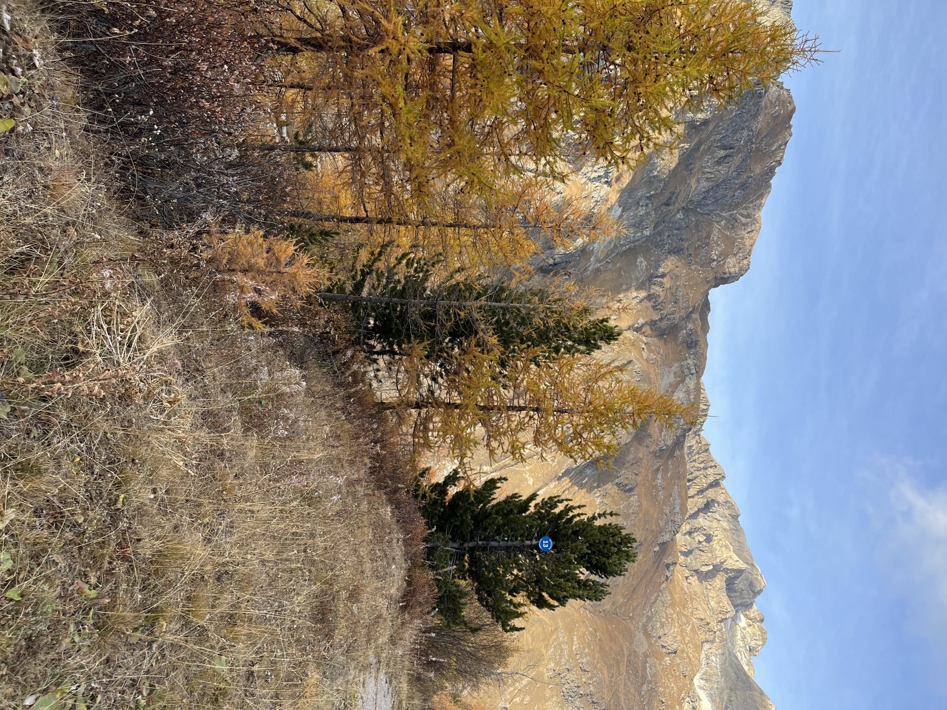 AUTOMNE
