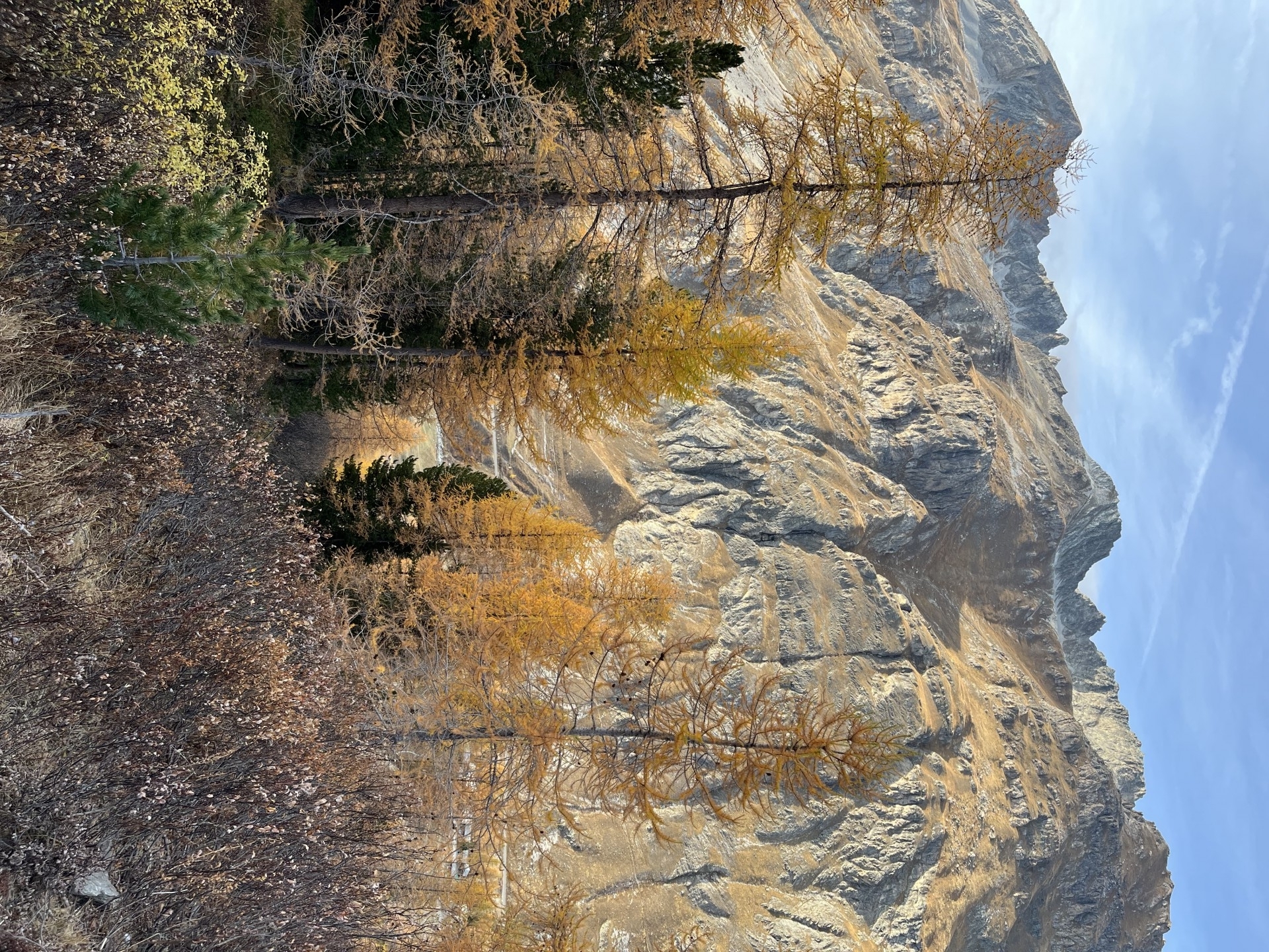 AUTOMNE