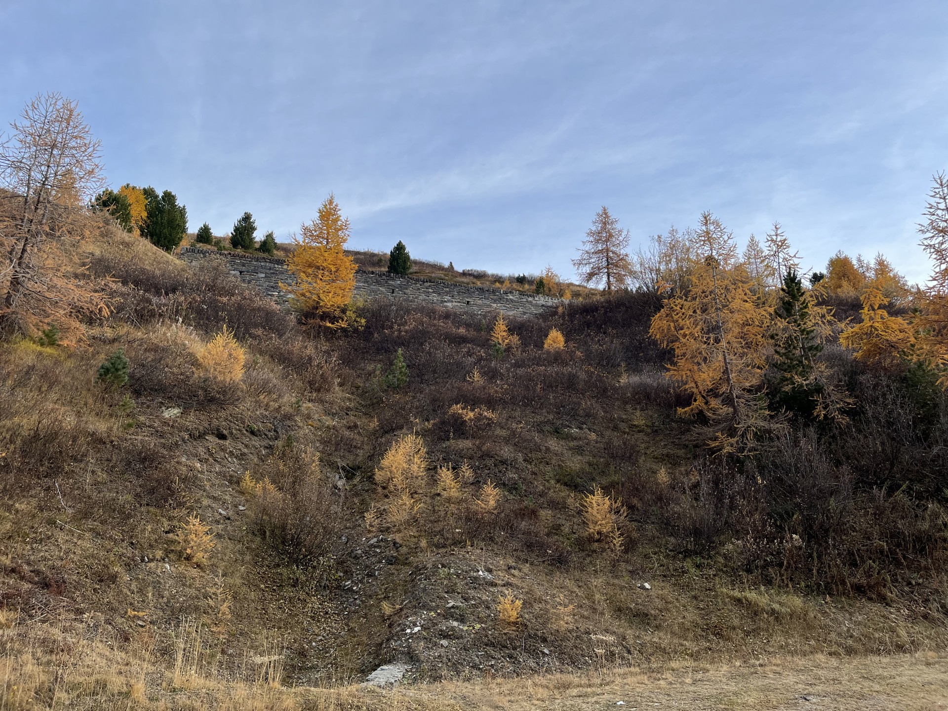 AUTOMNE